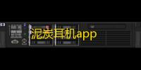 泥炭耳机app